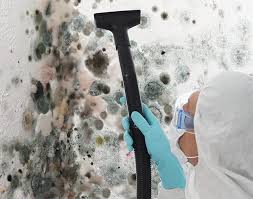 Trusted Pullman, WA Mold Removal Experts